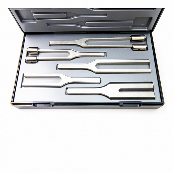 Riester Besteck II отоларингологический набор камертонов из стали, 5 шт