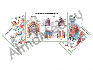 Комплект плакатов для кабинета пульмонолога ламинированный А1/А2 (ламинированный	A2)
