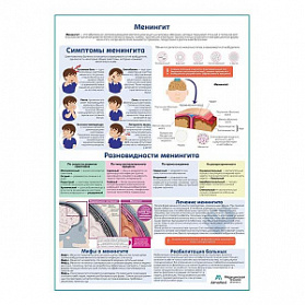 Менингит медицинский плакат А1+/A2+ (матовый холст от 200 г/кв.м, размер A1+)