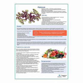 Иерсинии медицинский плакат А1+/A2+ (глянцевая фотобумага от 200 г/кв.м, размер A2+) Иерсинии медицинский плакат А1+/A2+ (глянцевая фотобумага от 200 г/кв.м, размер A2+)