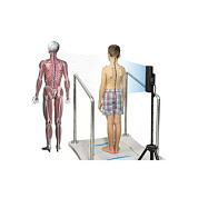 Анатомический сканер Траст-М