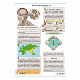Японский энцефалит плакат А1+/A2+ (глянцевая фотобумага от 200 г/кв.м, размер A2+)
