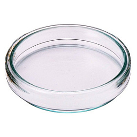 Чашка петри ЧБН-2 100x20 мм