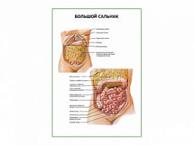 Большой сальник плакат глянцевый  А1/А2 (глянцевый A2)