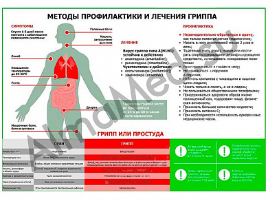 Грипп (горизонтальный) плакат ламинированный А1/А2 (ламинированный A2)