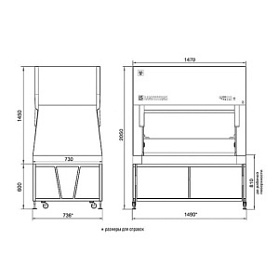Ламинарный бокс БМБ-II-«Ламинар-C»-1,2 NEOTERIC VIS-А-VIS для двух операторов (КД 242.120, класс II, тип A2)