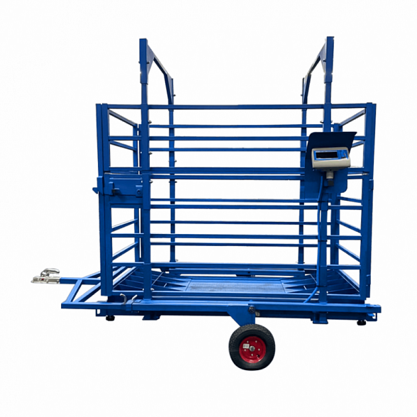 Животноводческие весы для КРС ВСП4-ЖсО