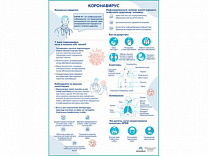 Коронавирус плакат глянцевый А1/А2 (глянцевый A1)