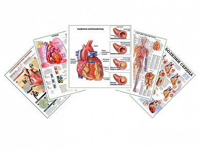 Комплект плакатов для кабинета кардиолога глянцевый А1/А2 (глянцевый A2)