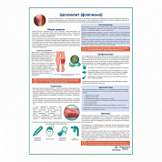 Целлюлит (флегома) медицинский плакат А1+/A2+ (матовый холст от 200 г/кв.м, размер A1+)