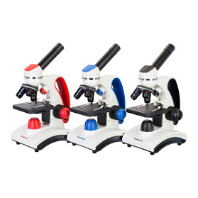Микроскоп Levenhuk Discovery Pico с книгой