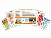 Комплект плакатов для кабинета массажиста глянцевый А1/А2 (глянцевый A2)