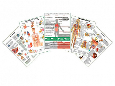Комплект плакатов для кабинета аллерголога-иммунолога глянцевый А1/А2 (глянцевый A1)