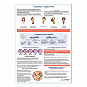 Пищевое отравление, медицинский плакат А1+/А2+ (глянцевый холст от 200 г/кв.м, размер A1+)