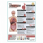 Вред алкоголя для здоровья плакат глянцевый А1+/А2+ (глянцевая фотобумага от 200 г/кв.м, размер A2+)