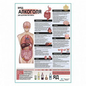 Вред алкоголя для здоровья плакат глянцевый А1+/А2+ (матовый холст от 200 г/кв.м, размер A1+)