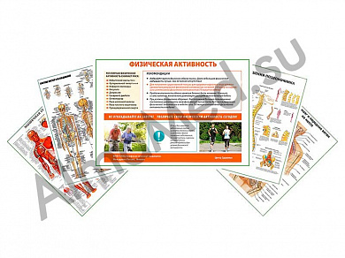 Комплект плакатов для кабинета врача-остеопата глянцевый/ламинированный А1/А2 (глянцевый	A2)