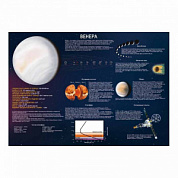Венера плакат A1+/A2+  (глянцевая фотобумага от 200 г/кв.м, размер A1+)