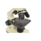 Цифровой монокулярный микроскоп Levenhuk D2L NG