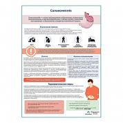 Сальмонеллез медицинский плакат А1+/A2+ (матовый холст от 200 г/кв.м, размер A1+)