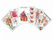 Комплект плакатов для кабинета кардиолога глянцевый А1/А2 (глянцевый A1)