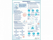 Коронавирус плакат глянцевый А1/А2 (глянцевый A2)