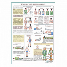 Транспортная иммобилизация, плакат глянцевый А1+/А2+ (глянцевая фотобумага от 200 г/кв.м, размер A1+)