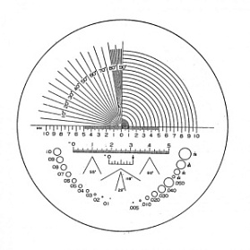 Стекло сменное со шкалой измерения для луп Eschenbach Precision scale magnifiers 115203