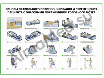 Основы правильного позиционирования и перемещения пациента с очаговыми поражениями головного мозга плакат глянцевый/ламинированный А1/А2 (глянцевый A2)