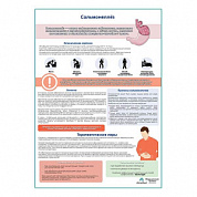 Сальмонеллез медицинский плакат А1+/A2+ (глянцевый холст от 200 г/кв.м, размер A1+)