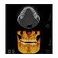 RAYSCAN Symphony Alpha SC - ортопантомограф с цефалостатом, 26х24 см