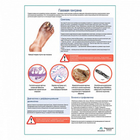 Газовая гангрена медицинский плакат А1+/A2+ (глянцевая фотобумага от 200 г/кв.м, размер A2+) Газовая гангрена медицинский плакат А1+/A2+ (глянцевая фотобумага от 200 г/кв.м, размер A2+)