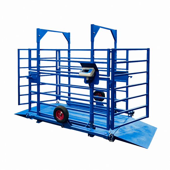 Животноводческие весы для КРС ВСП4-ЖсО