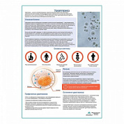 Урефплазмоз медицинский плакат А1+/A2+ (глянцевый холст от 200 г/кв.м, размер A1+)