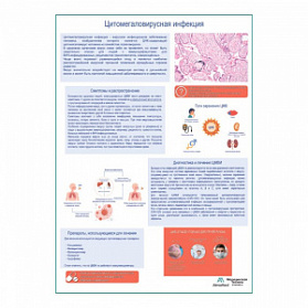 Цитомегаловирусная инфекция, медицинский плакат А1+/A2+ (глянцевая фотобумага от 200 г/кв.м, размер A2+) Цитомегаловирусная инфекция, медицинский плакат А1+/A2+ (глянцевая фотобумага от 200 г/кв.м, размер A2+)