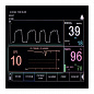 Монитор дыхательных функций (капнограф-пульсоксиметр) Capnostream с встроенным принтером