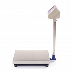 Весы МП 300 ВДА Ф-2 "Гулливер 07" (600х600 мм)