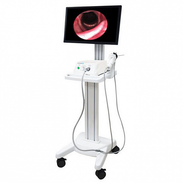 Эндоскопическая видеосистема Dr. Camscope DCS-103Е (эндоскопическая камера), Sometech