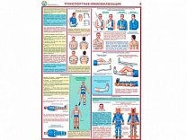Транспортная иммобилизация, плакат глянцевый А1/А2 (глянцевый A1)