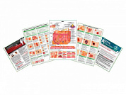 Комплект плакатов для кабинета дерматовенеролога глянцевый А1/А2 (глянцевый A2)