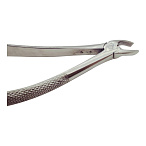 Щипцы для удаления молочных моляров верхней челюсти № 39