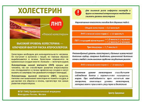 OLD Холестерин плакат глянцевый А1/А2 (глянцевый A1)