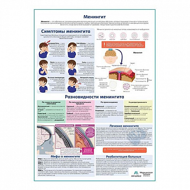 Менингит медицинский плакат А1+/A2+ (глянцевый холст от 200 г/кв.м, размер A1+)