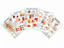 Комплект плакатов для кабинета онколога глянцевый А1/А2 (глянцевый A2)