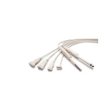 Mindray Z6 УЗИ сканер