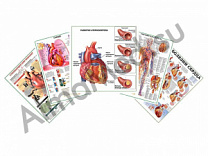 Комплект плакатов для кабинета кардиолога ламинированный А1/А2 (ламинированный	A2)