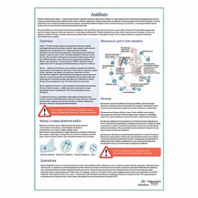 Амебиаз медицинский плакат А1+/A2+ (глянцевая фотобумага от 200 г/кв.м, размер A2+) Амебиаз медицинский плакат А1+/A2+ (глянцевая фотобумага от 200 г/кв.м, размер A2+)