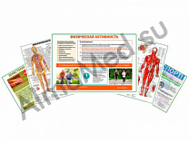 Комплект плакатов для кабинета массажиста глянцевый/ламинированный А1/А2 (глянцевый	A2)