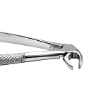 Щипцы для удаления резцов, клыков и премоляров нижней челюсти Ж 13