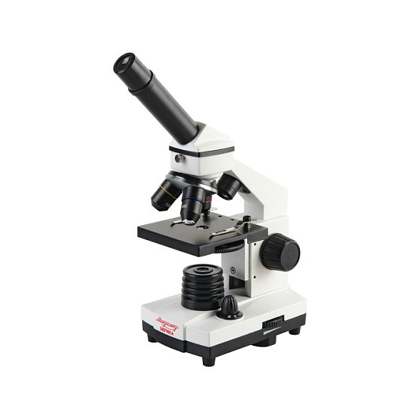 Микроскоп учебный Эврика 40х-1280х с видеоокуляром в кейсе